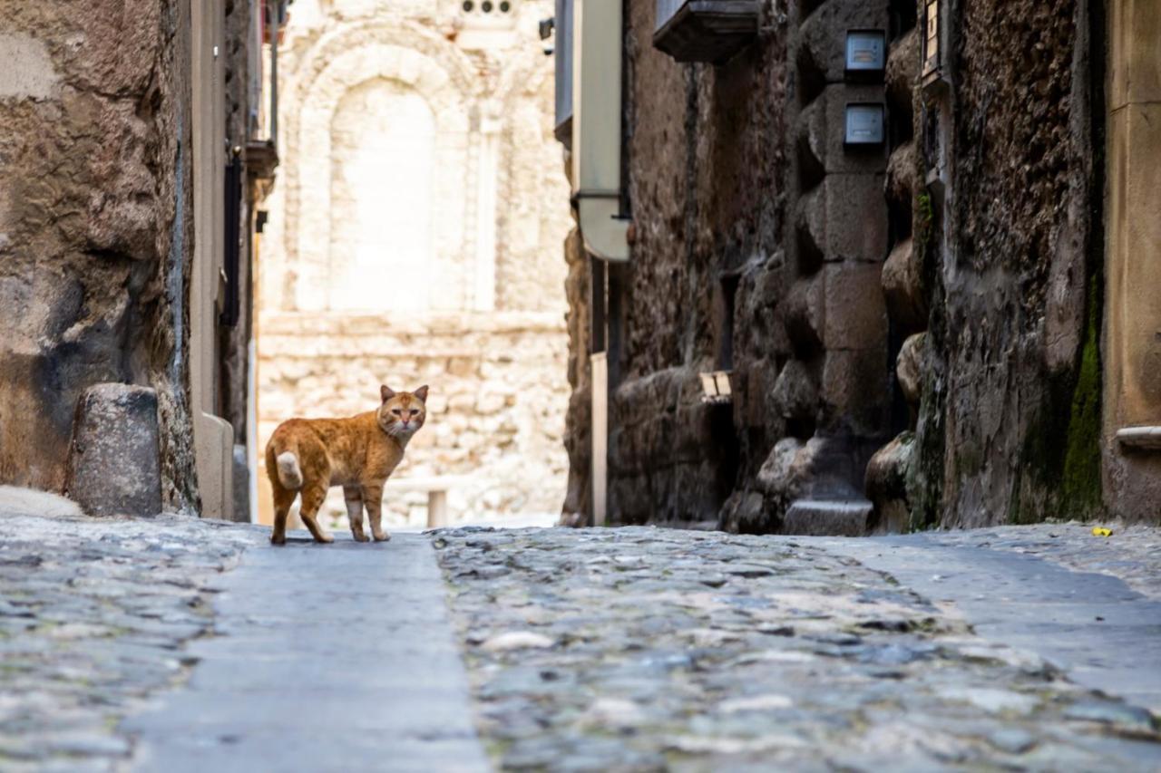 Suites Pastis Tropea - Boutique B&B Exterior foto